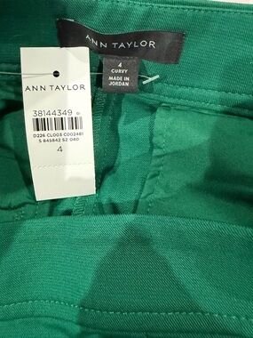 Ann Taylor Green Long Pants Curvey